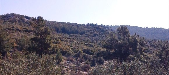 Hôtel à Kavala, Greece 13000m² No. 7961 5