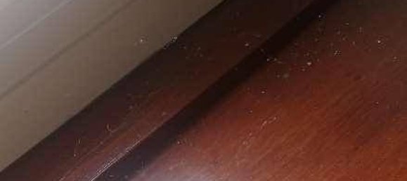 2 غرف نوم شقة في Malnate, Italy رقم 283014 23