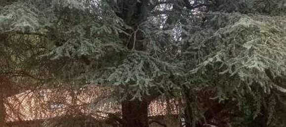 2 غرف نوم شقة في Malnate, Italy رقم 283014 8