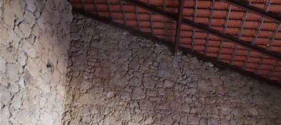 1 bedroom House in Penamacor, Portugal No. 170287 11