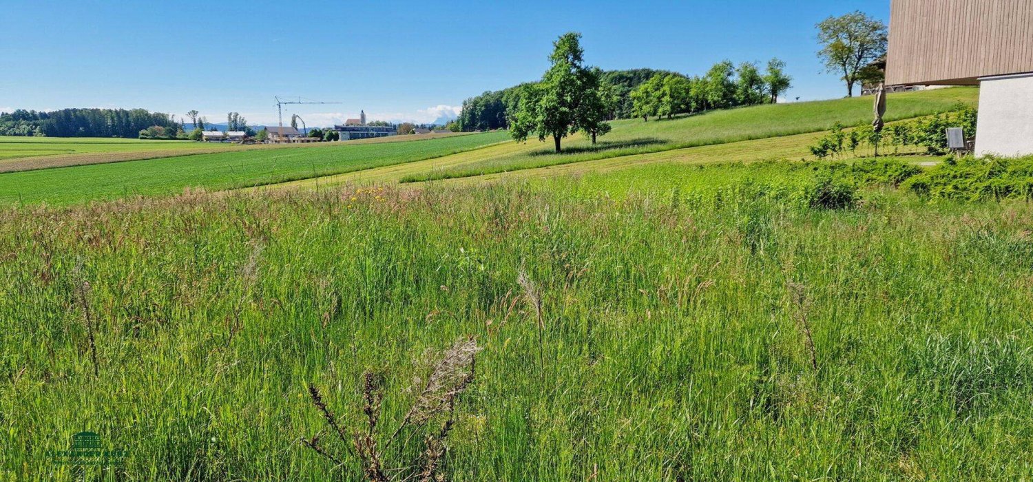  قطعة أرض في Moosdorf, Austria 1000متر مربع رقم 162838