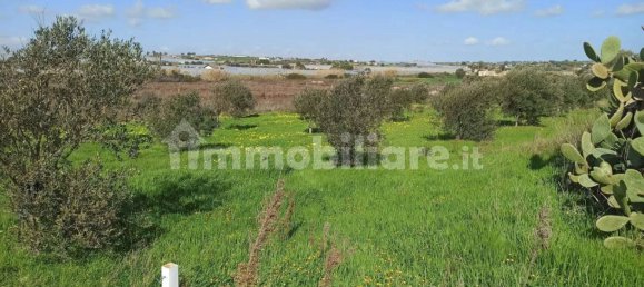 6 غرف نوم فيلا في Pachino, Italy رقم 60692 31