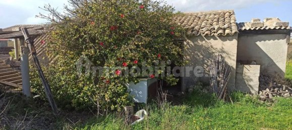 6 غرف نوم فيلا في Pachino, Italy رقم 60692 25