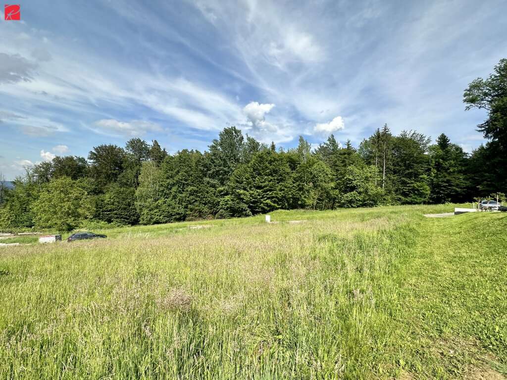  Land in Tillmitsch, Austria No. 41198