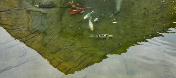 10غرفة تاون هاوس في Bavaria, Germany رقم 323035 49