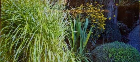 Moradia em banda T3 em Peine, Germany N.º 230914 20