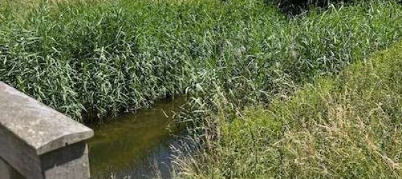 Moradia em banda T3 em Peine, Germany N.º 230914 25