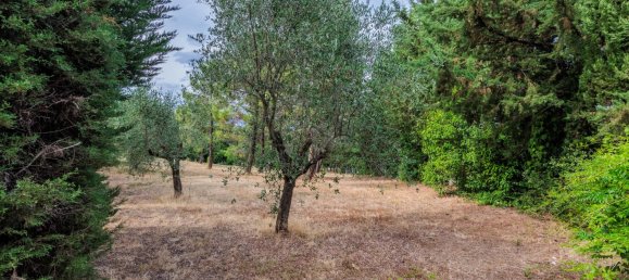 3 bedrooms House in Casciana Terme Lari, Italy No. 257820 39