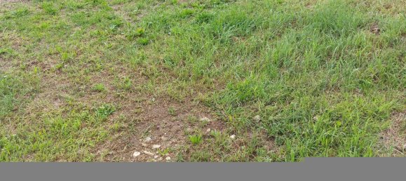 3 rooms Villa in Villorba, Italy No. 168116 3