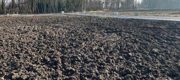 428m² Land in Marckolsheim, France No. 120959 2