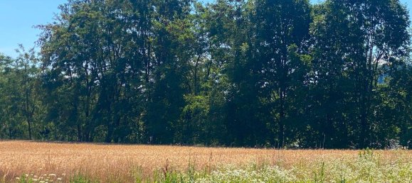 3 bedrooms Townhouse in Werndorf, Austria No. 193705 15