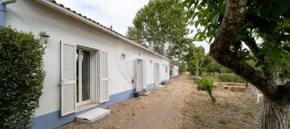 9 bedrooms House in Vila Nova da Baronia, Portugal No. 226511 36