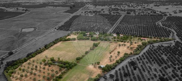 9 bedrooms House in Vila Nova da Baronia, Portugal No. 226511 50