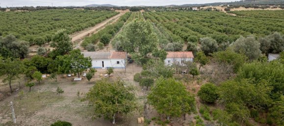 9 bedrooms House in Vila Nova da Baronia, Portugal No. 226511 2