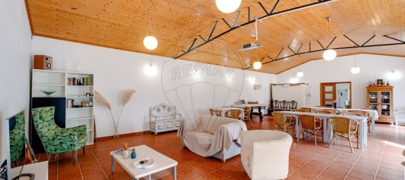 9 bedrooms House in Vila Nova da Baronia, Portugal No. 226511 30