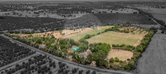 9 bedrooms House in Vila Nova da Baronia, Portugal No. 226511 49