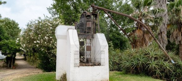 9 bedrooms House in Vila Nova da Baronia, Portugal No. 226511 38