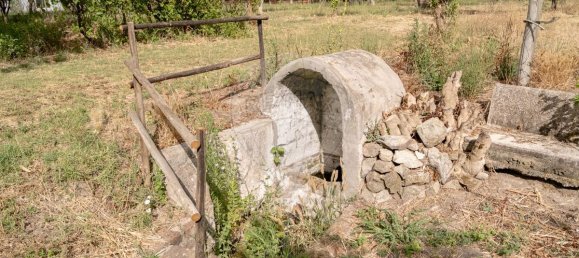 9 bedrooms House in Vila Nova da Baronia, Portugal No. 226511 40