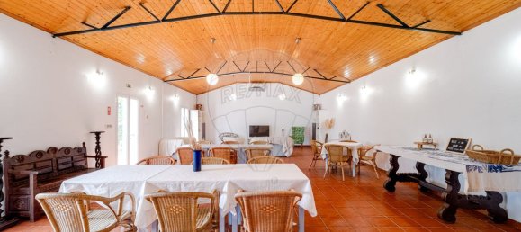 9 bedrooms House in Vila Nova da Baronia, Portugal No. 226511 32