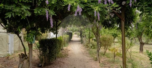 9 bedrooms House in Vila Nova da Baronia, Portugal No. 226511 37