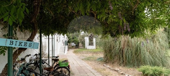 9 bedrooms House in Vila Nova da Baronia, Portugal No. 226511 45