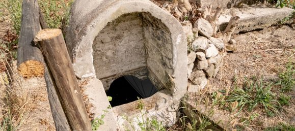 9 bedrooms House in Vila Nova da Baronia, Portugal No. 226511 41