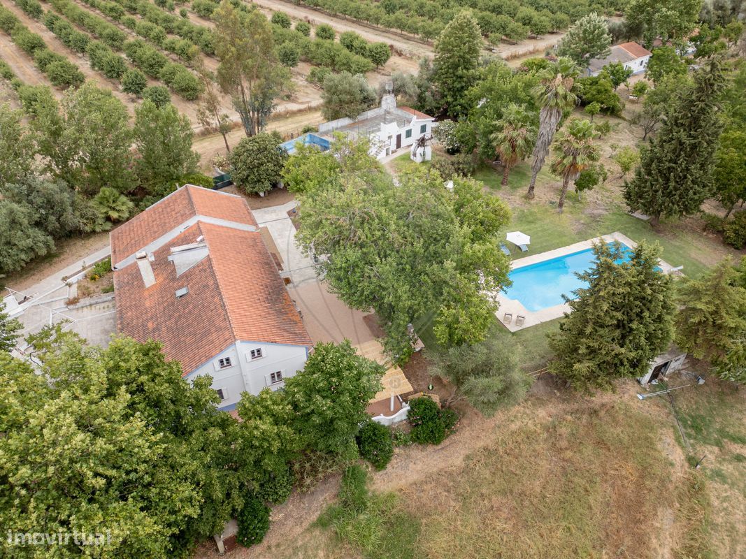 9 Schlafzimmer Haus in Vila Nova da Baronia, Portugal, Nr. 226511