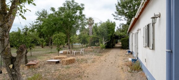 9 bedrooms House in Vila Nova da Baronia, Portugal No. 226511 35