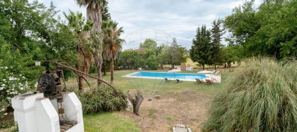 9 bedrooms House in Vila Nova da Baronia, Portugal No. 226511 39