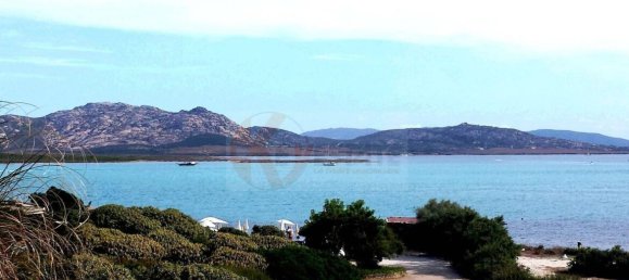 4 chambres Appartement à Stintino, Italy No. 305909 35