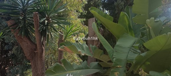 4 bedrooms Villa in Mijas, Spain No. 65392 33