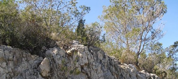 Grundstück in Alcala De Xivert, Spain 2198m², Nr. 184522 5