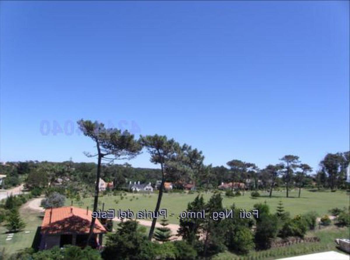 Apartamento T3 em Punta del Este, Uruguay N.º 7322