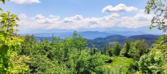 Дом с 5 комнатами в Мосбург, Австрия № 152256 14