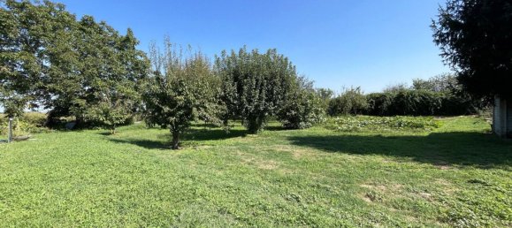 Villa de 6 dormitorios en Momo, Italy No. 377453 6