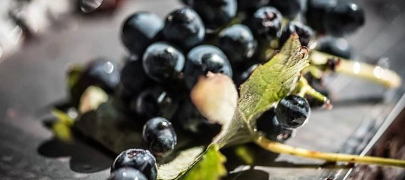 Casa de 3 dormitorios en Cortona, Italy No. 57056 109