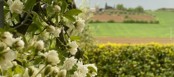 Casa de 3 dormitorios en Cortona, Italy No. 57056 118