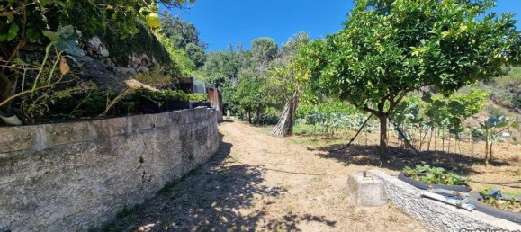 4 bedrooms House in Marco de Canaveses, Portugal No. 73346 29