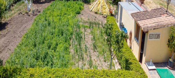 10 bedrooms House in La Quinta, Spain No. 37651 19