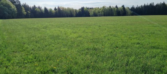 Terrain à Obertrum am See, Austria 38465m² No. 146171 2