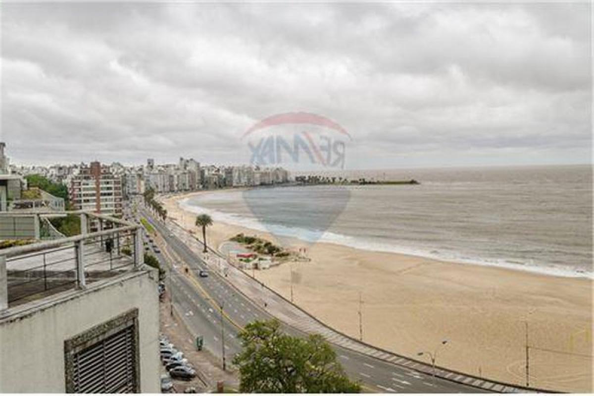 3 غرف نوم شقة في Montevideo, Uruguay رقم 4801