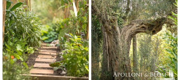 Дом с 8 спальнями в Умбертиде, Италия № 54553 42