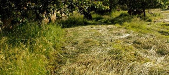 10 rooms Apartment in Vaglia, Italy No. 173786 9