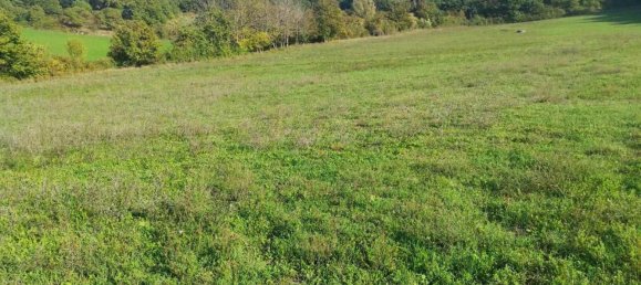 10 rooms Apartment in Vaglia, Italy No. 173786 20