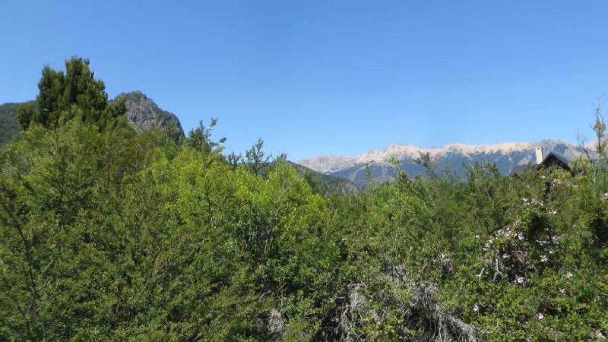 Grundstück in San Carlos de Bariloche, Argentina, Nr. 40889