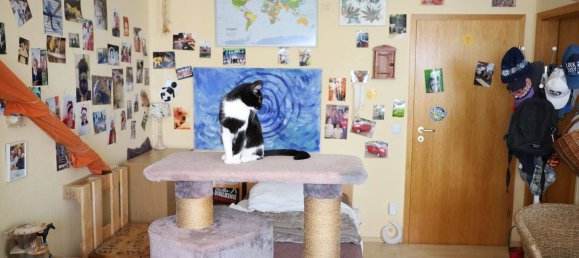 Studio in Zollernalbkreis, Germany No. 366196 4