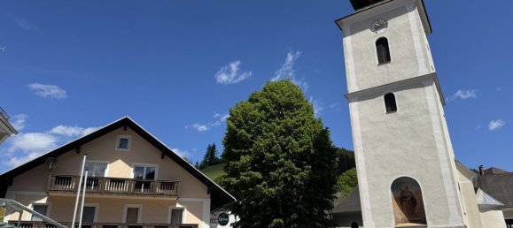 Propiedad comercial en Breitenau am Hochlantsch, Austria 411 m² No. 129340 2