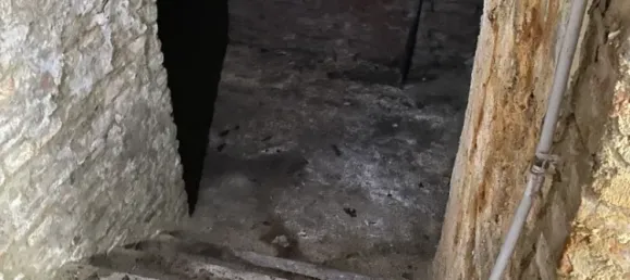 3-Zimmer Haus in Matzen-Raggendorf, Austria, Nr. 194064 43