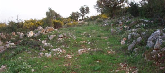  Property in Zakynthos, Greece No. 6415 5