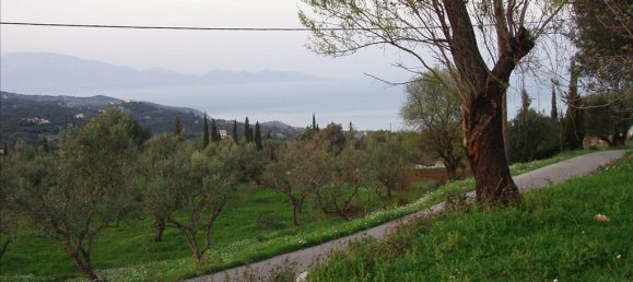  Property in Zakynthos, Greece No. 6415 4